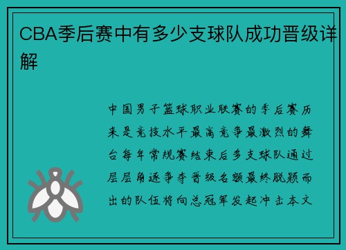 CBA季后赛中有多少支球队成功晋级详解
